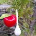 Decorating the tree on St George's Eve
