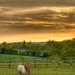 Fiery Sky by cmf