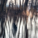 Morning Impressions