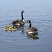 Family outing by essiesue