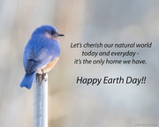 22nd Apr 2025 - Earth Day