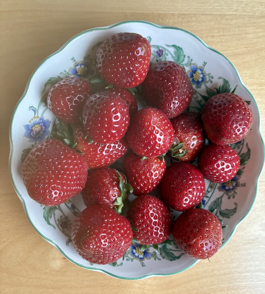 Sweet Strawberries by allie912