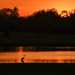 Kansas Sunset 4-21-25 by kareenking