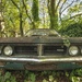 The old beauty