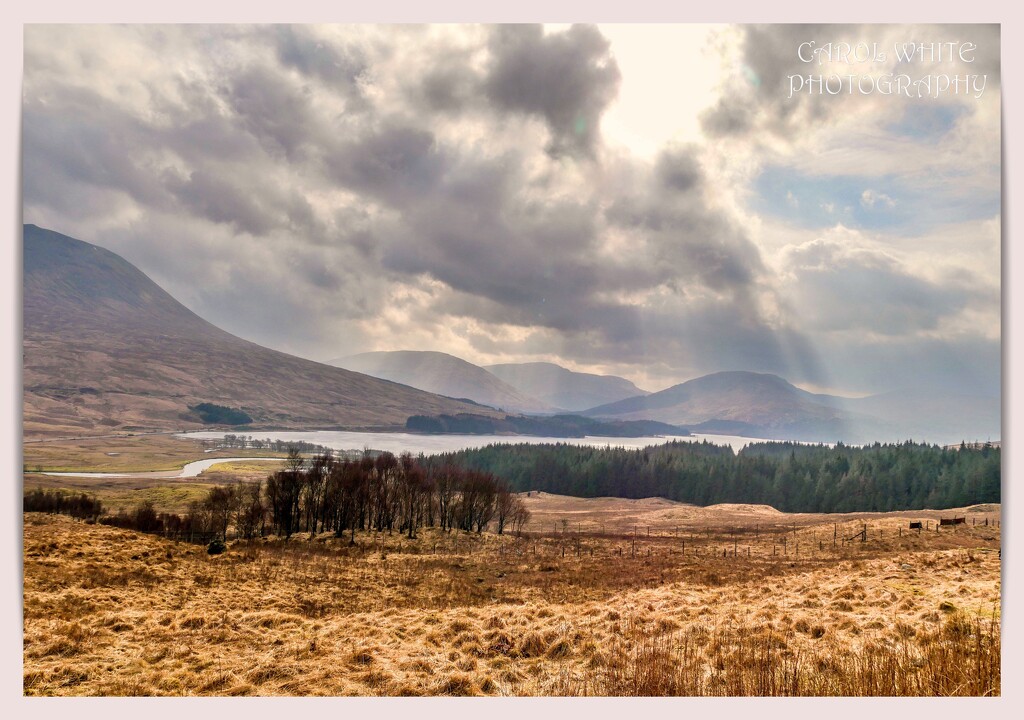Darkening Skies by carolmw