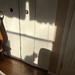 Cat Shadow by pej76