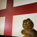 Garfield and St George's Day (Single Subject #23)