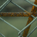 Grunge23 - Corroded Barrier