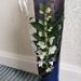 Beautiful new house plant 