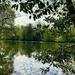 Hartsholme 
