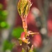 New life