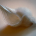 ICM-gradually