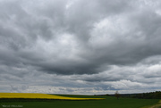 21st Apr 2025 - cloudy