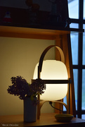 22nd Apr 2025 - still life
