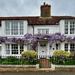 Wonderful Wisteria by gaf005