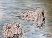20th Apr 2025 - Spring Babies 