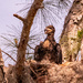 One of the Baby Eagles!