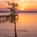 Sunset With Birds in the View!