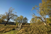 24th Apr 2025 - An Autumn Morning