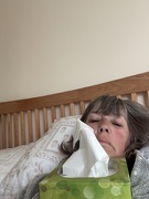 22nd Apr 2025 - Feeling forlorn