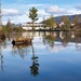 Reflections
