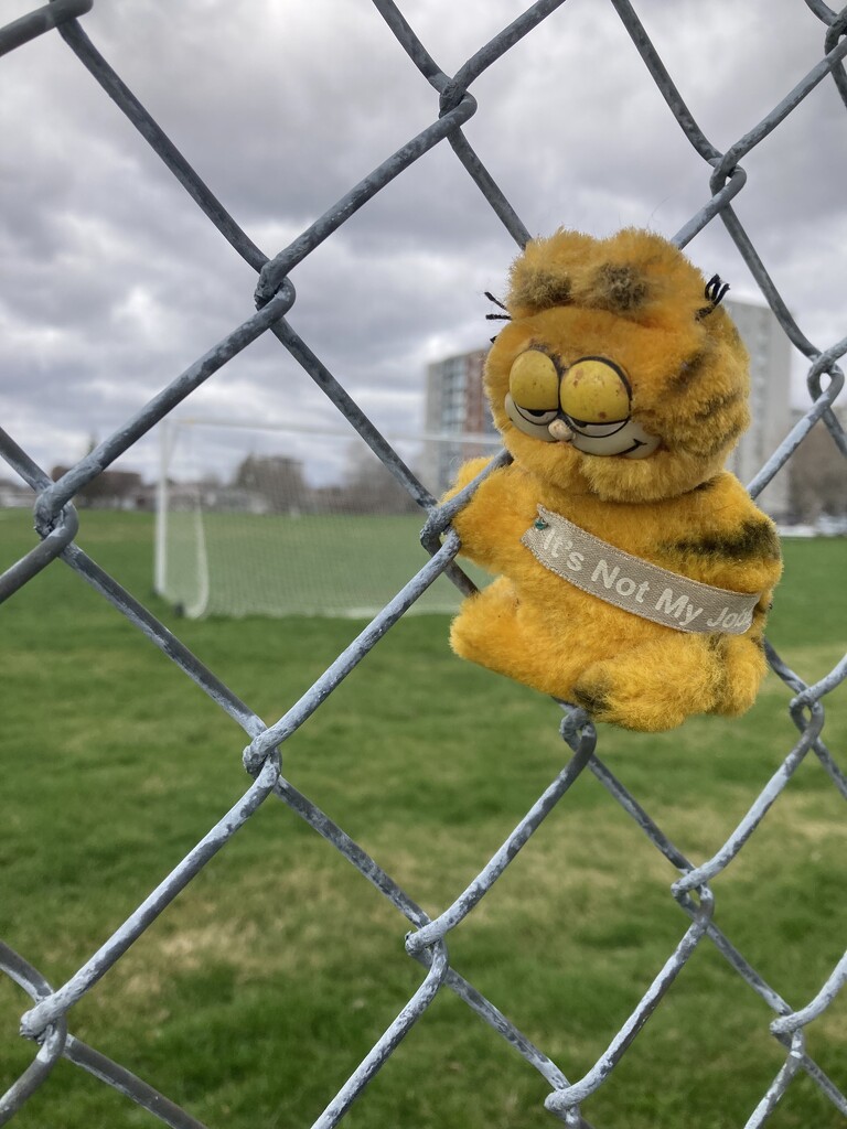 Garfield Is on the Fence (Single Subject #24) by spanishliz