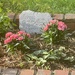 Friends are the flowers in the garden of life. by essiesue