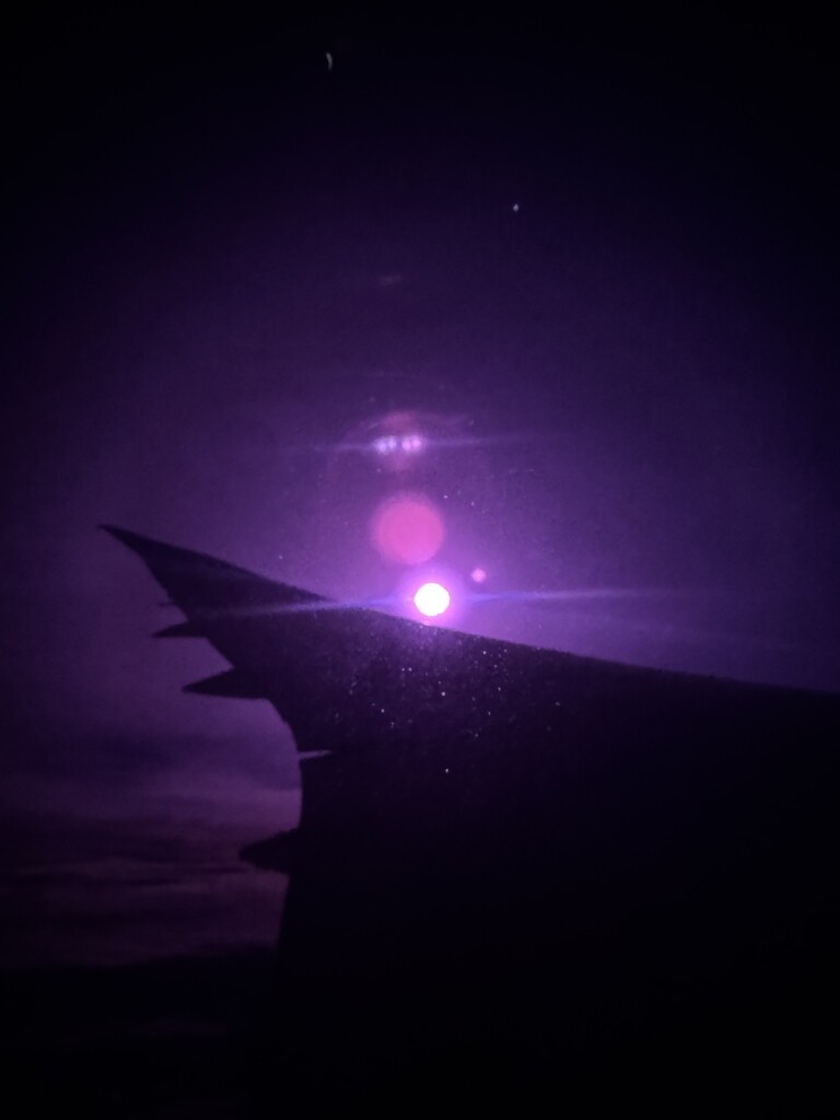 In the plane.  by cocobella