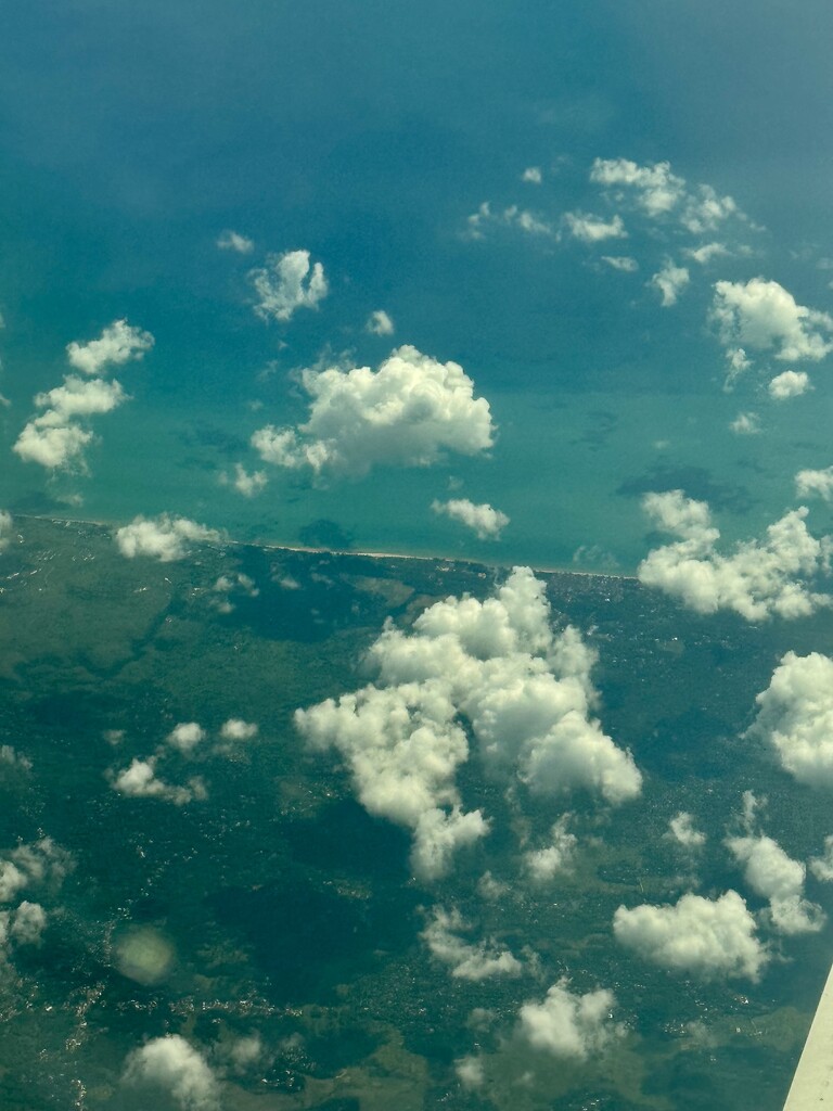 Above the clouds.  by cocobella