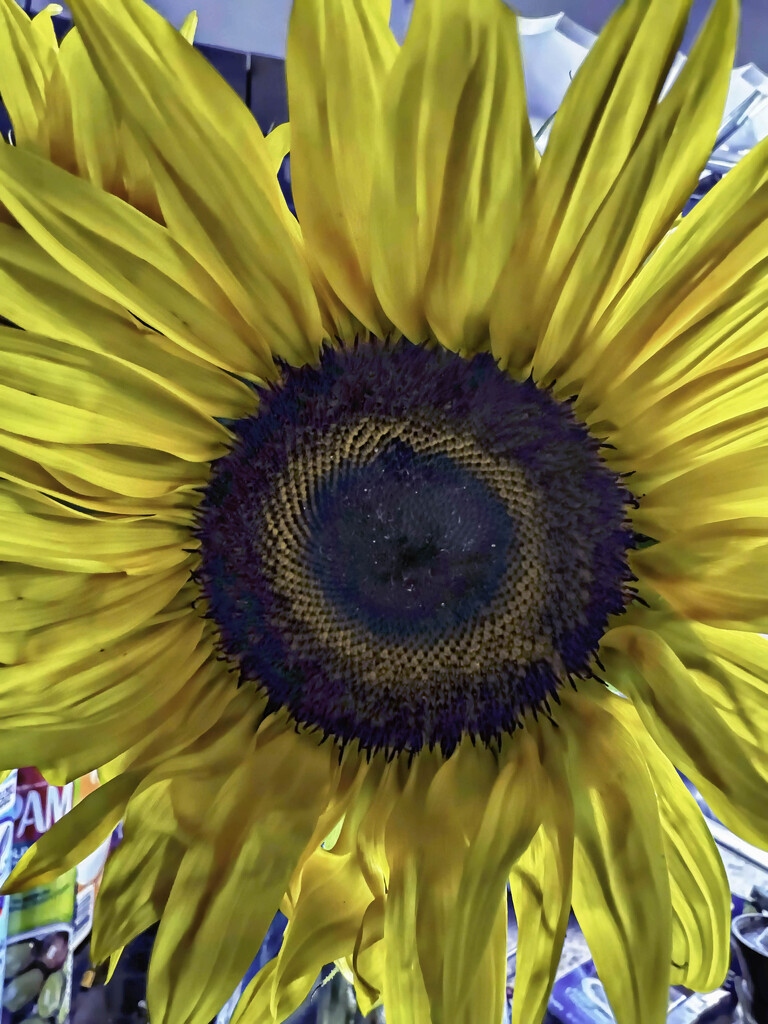 For color inside by joansmor