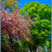 Colourful Spring 2025 Day