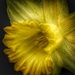 24april