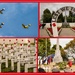ANZAC 2025