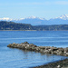 Cormorant Cove View by seattlite