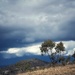 Impending storm