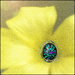 "Living like a flower in an egg"