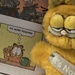 Garfield and the Comic Strip (Single Subject #25)