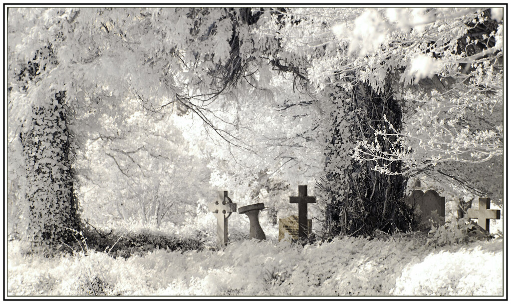 SPOOKY by sjc88