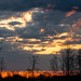 Dawn