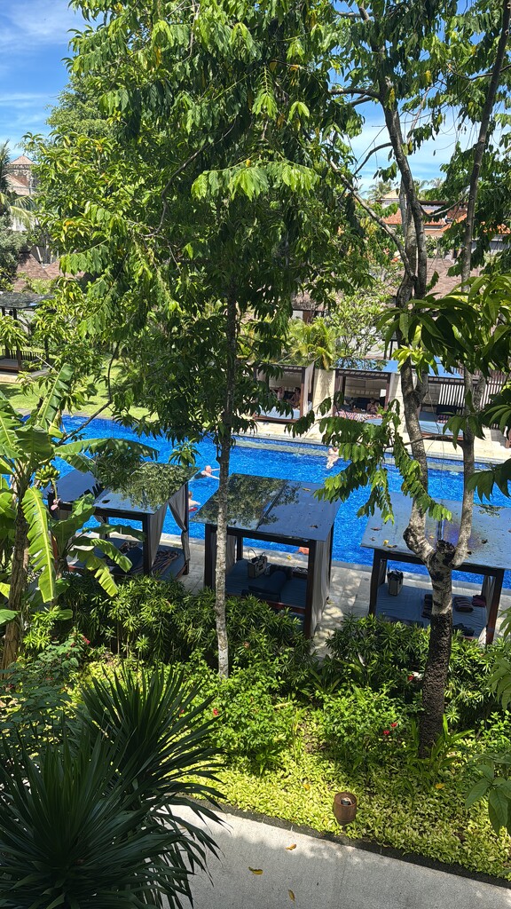 View from our room.  by cocobella