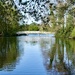 White Bridge
