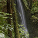 Bridal veil