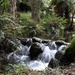 Tiny water fall