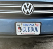 26th Apr 2025 - Who’s a Good Driver?