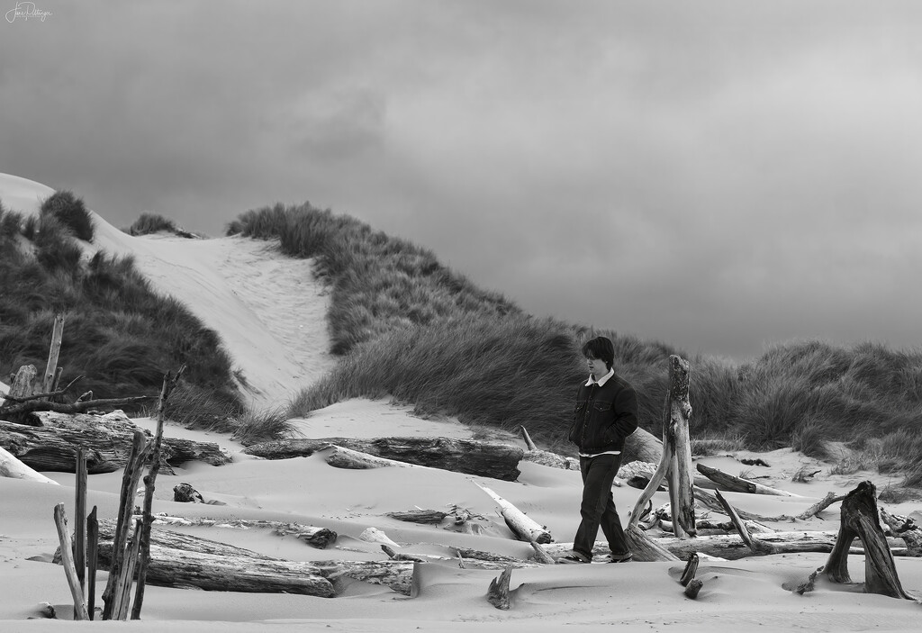 Mason Walking with the Driftwood by jgpittenger