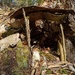No one is home