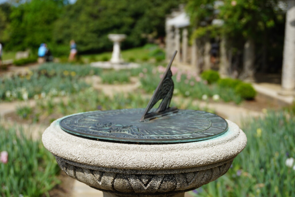 Time in a Garden by allie912