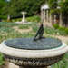 Time in a Garden