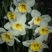 25april