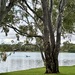 Lake Lascelles